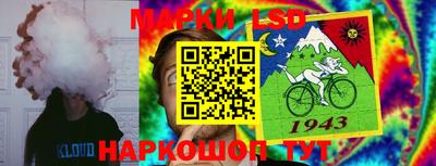 герыч Будённовск