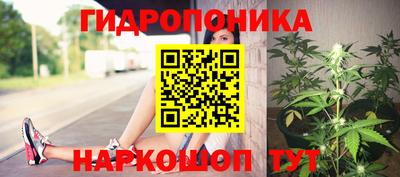 шишки Бугуруслан
